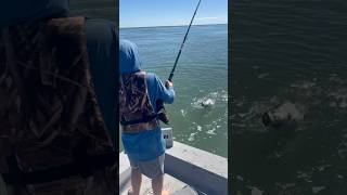 10 Year Old vs Tarpon [upl. by Amethist]