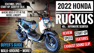 2022 Honda Ruckus 49cc Scooter Review of Specs Changes Features  Walkaround  NPS 50 [upl. by Croom]