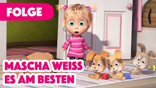 Mascha und der Bär 💥 NEUE FOLGE 2024 💥🎬 Mascha weiß es am besten 🐰🥁🤗 Folge 90 [upl. by Anolla]