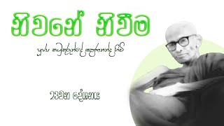 නිවනේ නිවීම 23  පූජ්‍ය කටුකුරුන්දේ ඤාණානන්ද හිමි [upl. by Constant462]