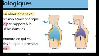 UE1UE2  Rappel sur la Physiologie Respiratoire Hematose  Reflex de Hering  Transport doxygène [upl. by Davison]