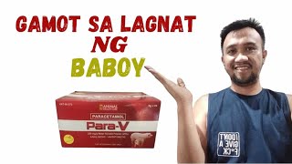 MABISANG GAMOT SA LAGNAT NG BABOY PARA  V [upl. by Eiramnaej]