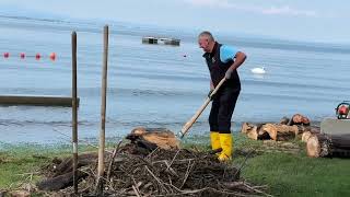 Lochau Schwemmholz und Hochwasser beim Strandbad und am Kaiserstrand [upl. by Olpe]