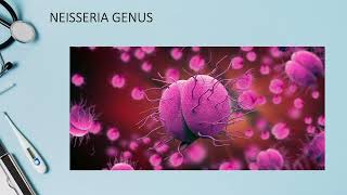 Neisseria genus  Lecture [upl. by Coster741]