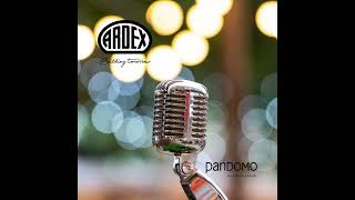 🎶 Ardex amp Pandomo Song [upl. by Meece256]