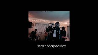 Heart Shaped Box Nirvana cover  Kelsey Rhiannon [upl. by Tersina]