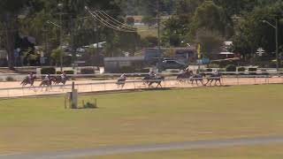 Gympie 20240720 Race 1 [upl. by Yerg]