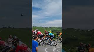 Il Tour de France a Barbaresco CN tra i Paesaggi Vitivinicoli di LangheRoero e Monferrato😍 [upl. by Lingwood]