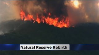 Stebbins Cold Canyon Reserve Reopening After Wragg Fire [upl. by Wendi]