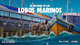 Microcuentos de Solidaridad – El aplauso de los lobos marinos [upl. by Nnyleitak944]