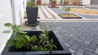 Planting my patio containers with Geraniums Petunias Alyssum and Lobelias [upl. by Lotsirk]