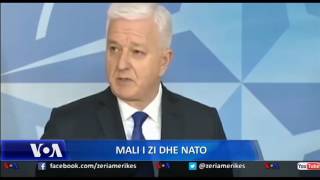 Progresi i Malit të Zi drejt anëtarësimit në NATO [upl. by Oriel]