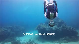 VDIVE F998 PP Long freediving fin [upl. by Anirehc525]