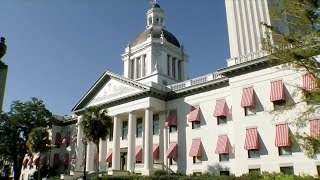 Florida voters reject measures to protect abortion rights and legalize recreational marijuana [upl. by Roanne]