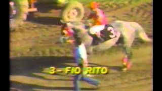 1981 Whitney Handicap  Fio Rito [upl. by Krein]