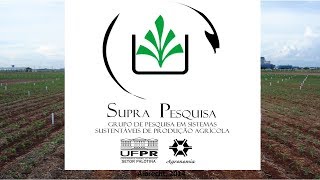 Antagonismo na aplicação de Herbicidas [upl. by Rydder]