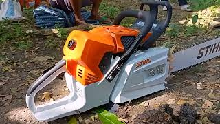 Stihl ms 881 first start amp cutting vs Husqvarna 3120xp [upl. by Slerahc]