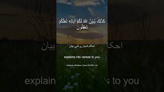 AlBaqara  البقرة  Verse 242  Quran Says  VerseByVerseQuran [upl. by Mariellen]