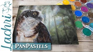 PanPastel Review amp drawing an owl demonstration  Lachri [upl. by Palgrave]