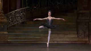 Coda Swan Lake ROH Marianela Nuñez fouettes [upl. by Tletski]