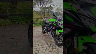 R7 vs Ninja 650 vs Z900 [upl. by Seravart911]