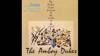 AMBOY DUKES  Journey To The Center Of The Mind 1968 VINYL US Detroit S6112 [upl. by Oicapot]