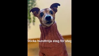 Sticka hundtröja Del 3 Kantstickning [upl. by Ardenia283]