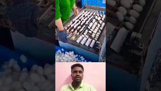 🤔கக்குன் பார்மிங்⁉️  Cocoons Farming For Silk 💥 trending cocoon collection machine yt shorts [upl. by Amar]