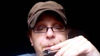 Learn Harmonica In 5 Minutes [upl. by Ranjiv761]