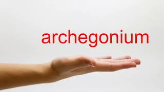 How to Pronounce archegonium  American English [upl. by Rafaela]