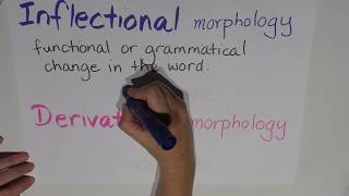 Episode 6  Morphology  Inflectional vs derivational [upl. by Sadinoel]