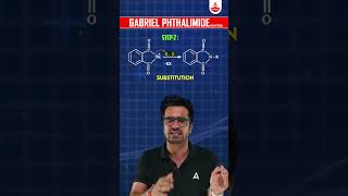 Gabrial Phthalamide Reaction neetpreparation organicchemistry neet2025 amines neetchemistry [upl. by Martelle]