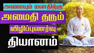 Mindfulness Meditation  Stress Relief Calm and Peaceful  22 Minutes Guided Meditation in Tamil [upl. by Lenrow]