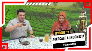 Acercate a Indonesia episode 11  Teh Indonesia [upl. by Willow]