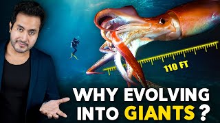 Why Are SEA CREATURES Evolving into Giants [upl. by Weathers]