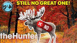 DIAMONDS AND RARES ARE MY GRINDS RUINED The Hunter Call of the Wild [upl. by Adlig]