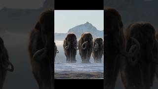 Woolly Mammoth Vs African Elephant 🤯🤔 By info fact News [upl. by Alue]