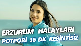 Erzurum Halayları  Potpori  15 Dk Kesintisiz  Aylin Demir [upl. by Daffie984]