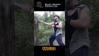 Blunt Weapon Combatives  Strike Angles  Recon Method [upl. by Hardy]