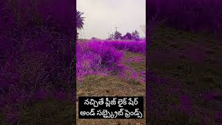 Beautiful nature😍😍Vinnapalu vinavale telugu songviral [upl. by Killen]