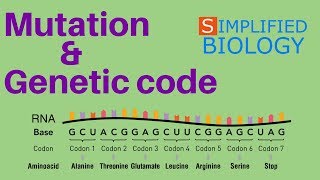 MUTATION AND GENETIC CODE for NEET AIIMS AIPMT MCAT JIPMER PREMED [upl. by Rondi]