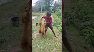 Unbelievable cast net fishing 🦐 shorts fishing video [upl. by Attela]