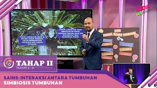 Tahap II 2022  Klip  Sains Interaksi Antara Tumbuhan  Simbiosis Tumbuhan [upl. by Ojyram]