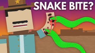 What If a Venomous Snake Bites You  Dear Blocko 8 [upl. by Mayer464]