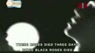 chicosciseven black roses [upl. by Torey]