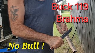 Buck 119 Brahma Knife Survival Combat Hunting Camp or Belt Knife 420HC [upl. by Rihaz445]