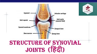 Structure of Synovial joints in Hindi Characteristics synovial fluid  Structure Function [upl. by Sebastian160]