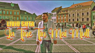 Liviu Guta  La tine tin mai mult official audio [upl. by Kilk]