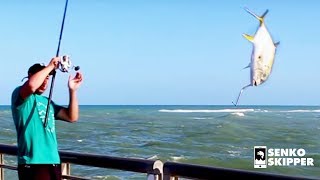 The Craziest Pier Fishing in America Sebastian Pier Florida [upl. by Nibbor]