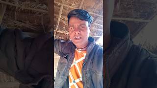 Ajay Devgan dialoguebollywoodshortsAjay DevganytshortsKamlesh [upl. by Paola]